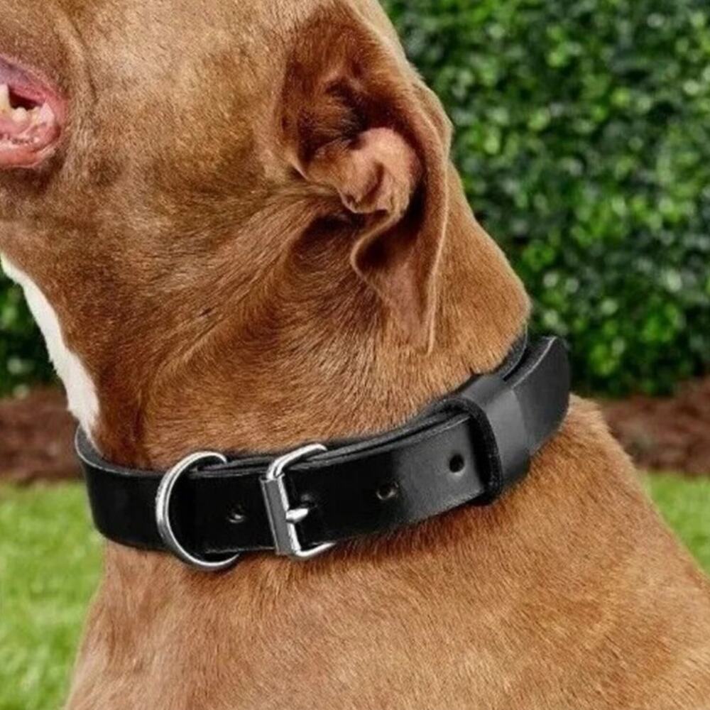 BLACKJACKS LEATHER Large Breeds Dog Collar, Black, 18-21.